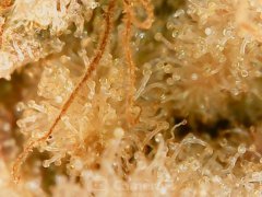 190622_181756_cleaned.jpg
