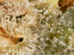 190622_181833_cleaned.jpg