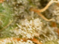 190622_182134_cleaned.jpg