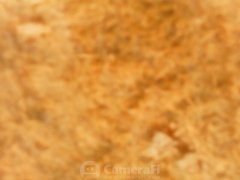 190622_182146_cleaned.jpg