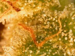 190622_182248_cleaned.jpg