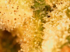 190622_182259_cleaned.jpg