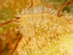 190622_182316_cleaned.jpg