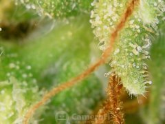 190628_210114_cleaned.jpg