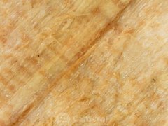 190628_210132_cleaned.jpg
