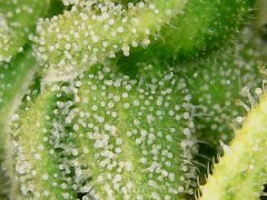 190628_210213_cleaned.jpg
