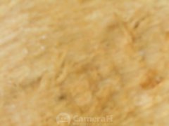 190628_210319_cleaned.jpg