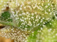 190628_210336_cleaned.jpg