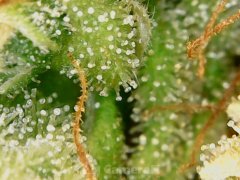 190628_210405_cleaned.jpg