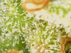 190628_210437_cleaned.jpg