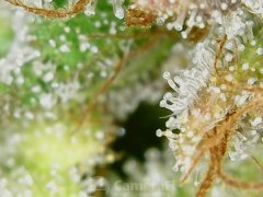 190628_210451_cleaned.jpg