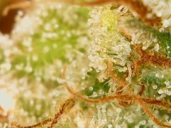 190628_210518_cleaned.jpg