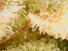 190628_210618_cleaned.jpg