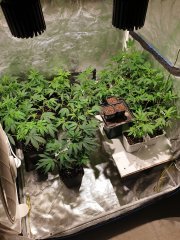 20190625_190338-min.jpg
