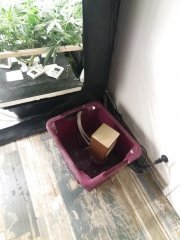 20190626_103901.jpg
