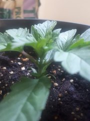 20190626_130429.jpg