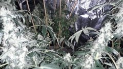 20190628_103427.jpg