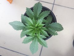 20190629_182713.jpg