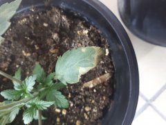 20190630_215436.jpg