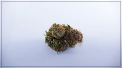 Blueberry Haze.JPG