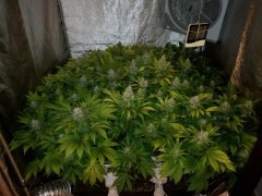 IMG_20190301_084147.jpg