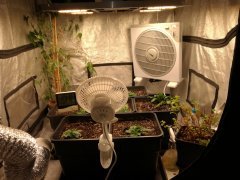 IMG_20190619_192213.jpg