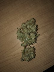 IMG_6556.jpg