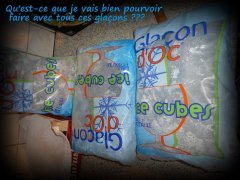 un glaçon svp