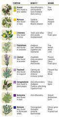 terpenes-info-common-terpenes.jpg
