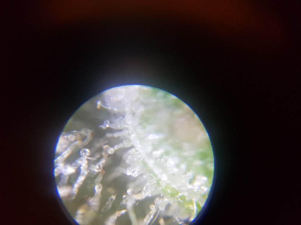 20190622_115550.jpg