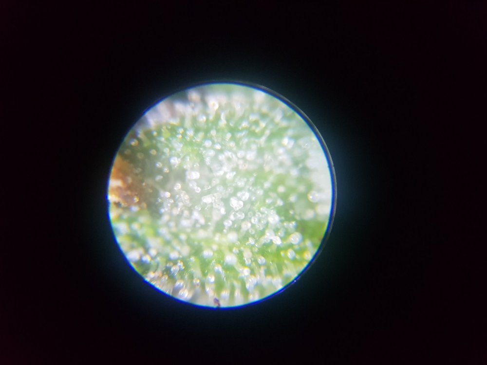 20190622_115825.jpg