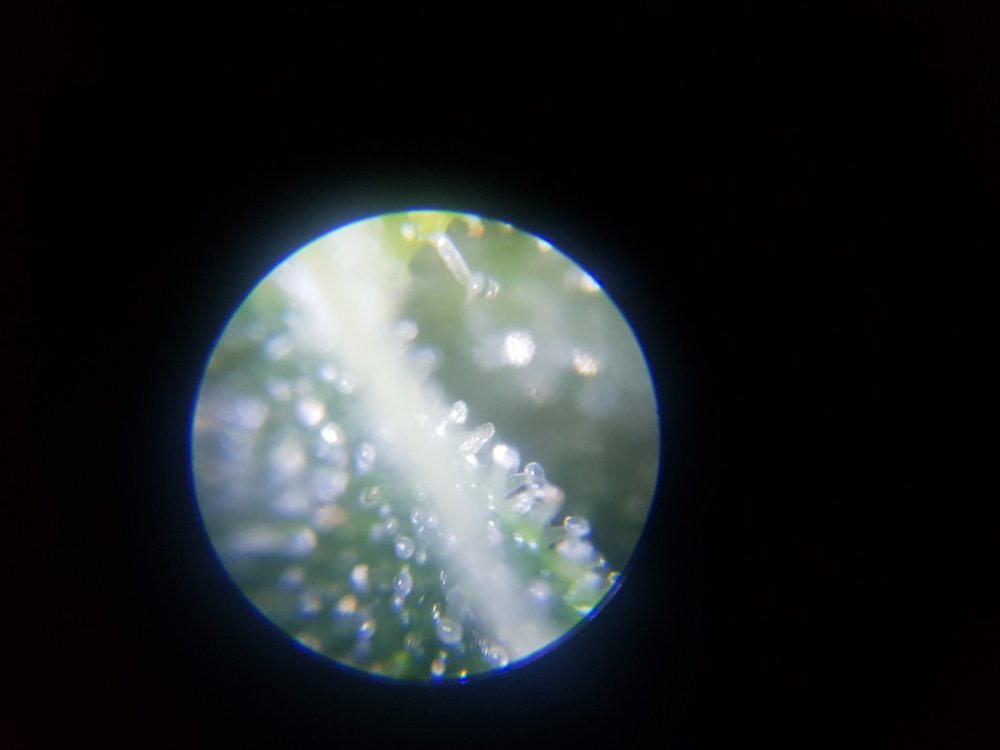 20190622_185738.jpg