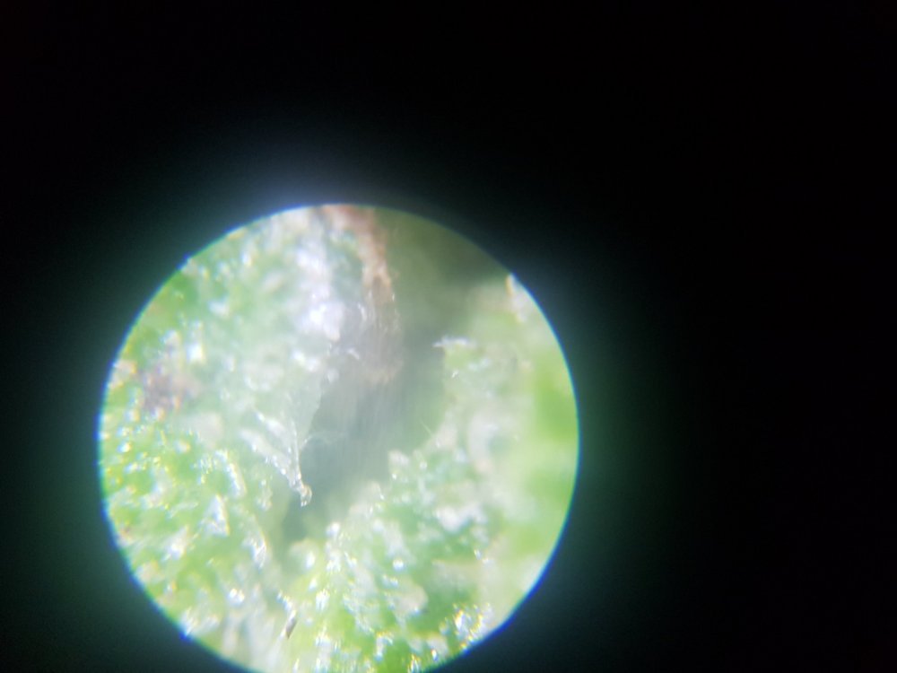 20190701_151952.jpg