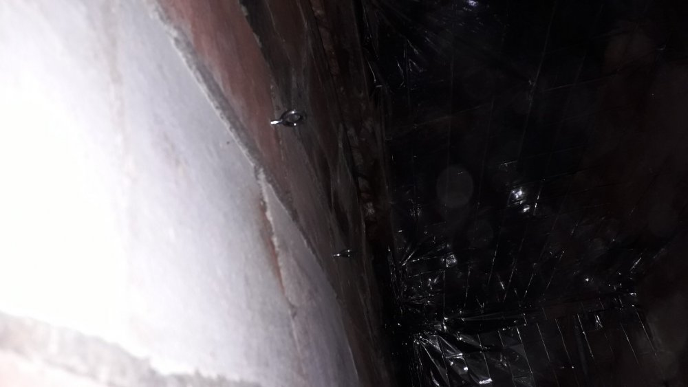20190704_114652.thumb.jpg.f555cafb2cca5d9c29cd3104e26b88d3.jpg