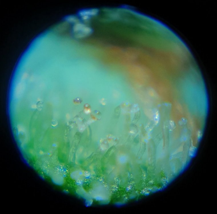 20190704_183528.jpg