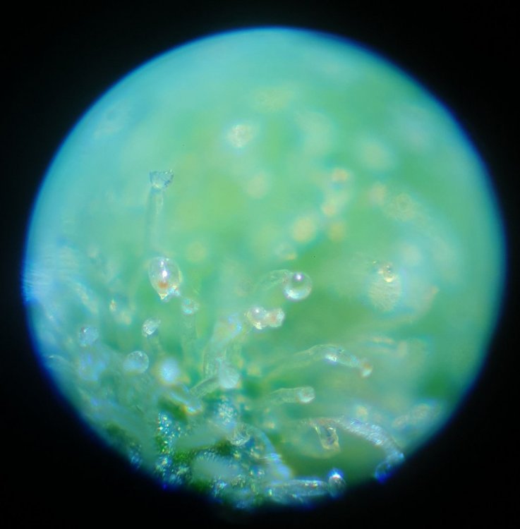 20190704_184527.jpg