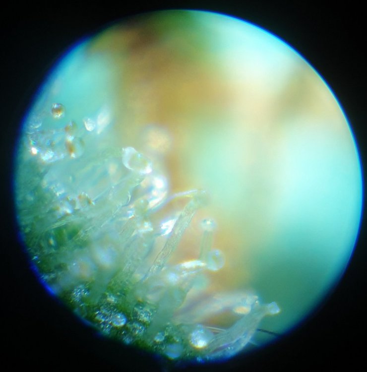 20190704_184729.jpg