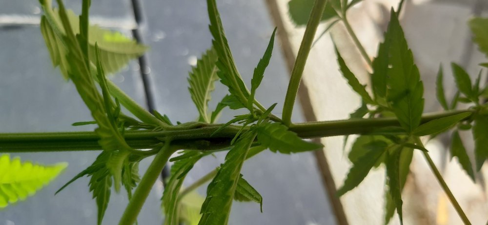 20190709_141038.jpg