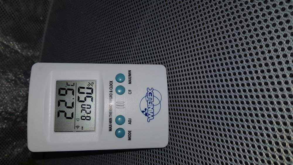 20190711_205043.jpg