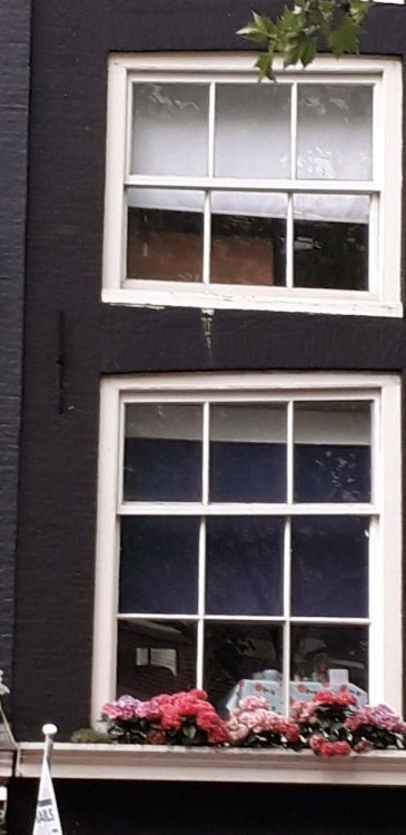 20190719_153539.jpg