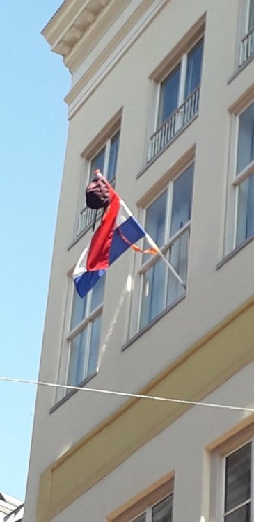 20190723_154436.jpg