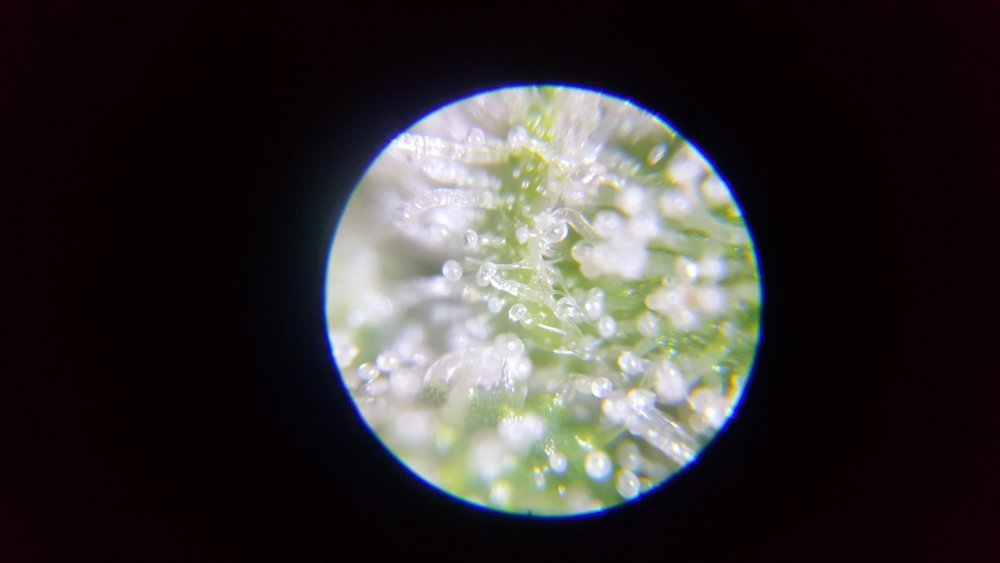 20190725_112112.jpg