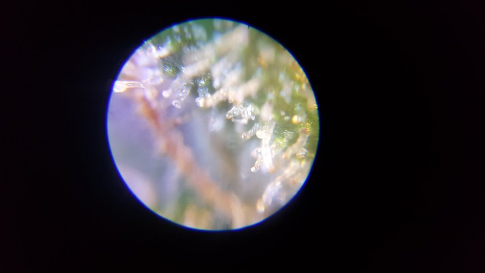 20190725_154428.jpg