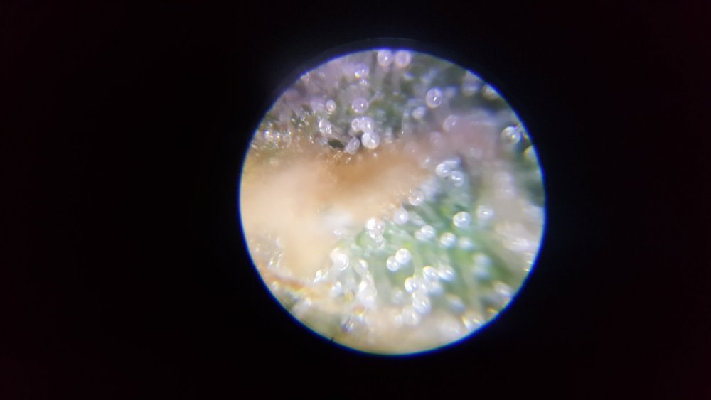 20190725_154616.jpg