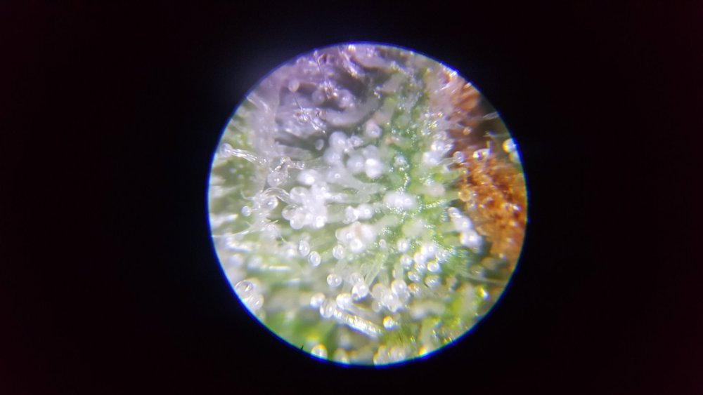 20190725_154705.jpg