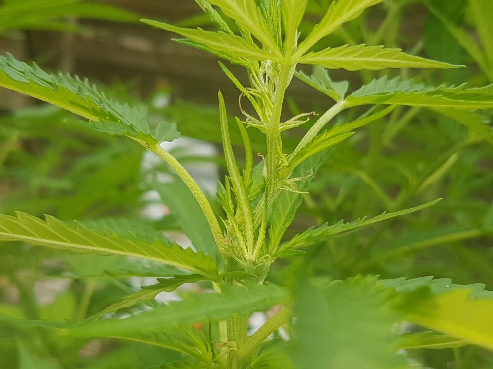 20190727_162702.jpg