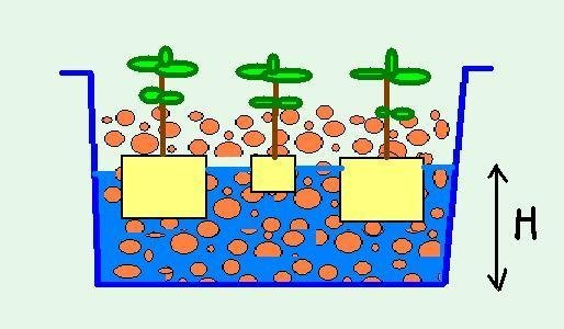 22.jpg.97d9c9a7e3303d7f5512f27b47702101.jpg