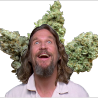 OriginalGrower