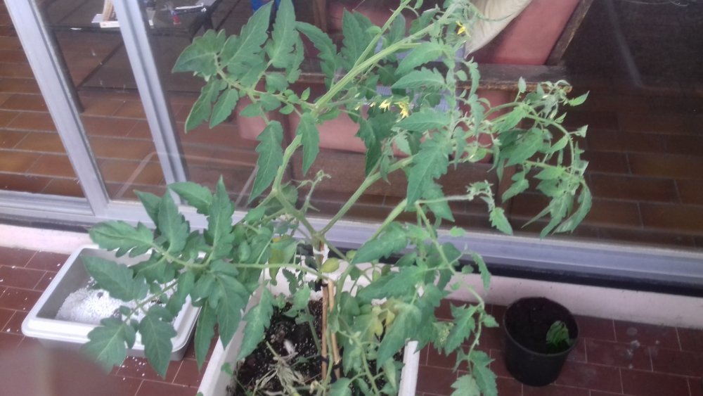20190727_182530[1].jpg