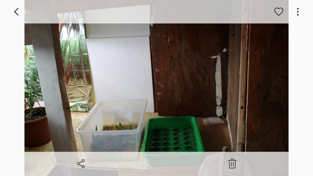 Screenshot_20190710-221116_Gallery.jpg
